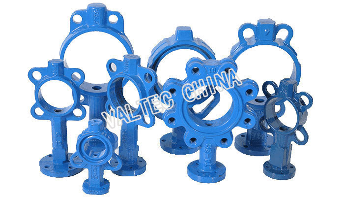 Butterfly Valve Body