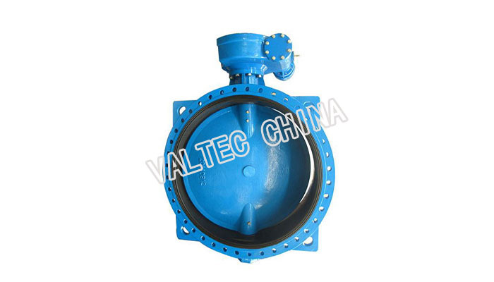 Large Size Double Flanged Butterfly Valve