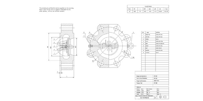 Dual Plate Lug Check Valve drawing