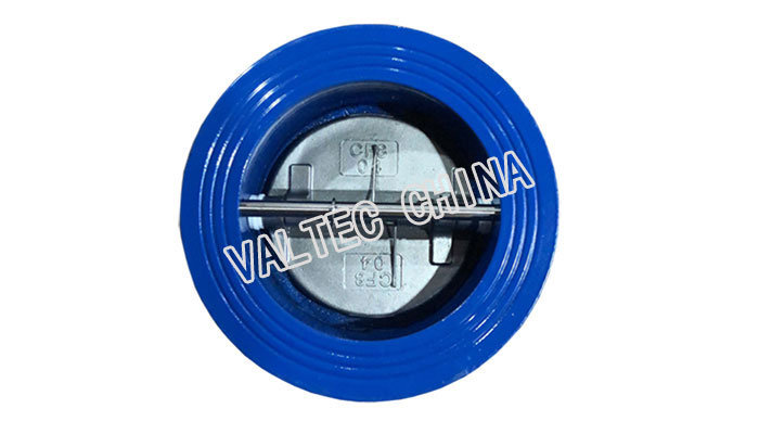 Dual Plate Check Valve