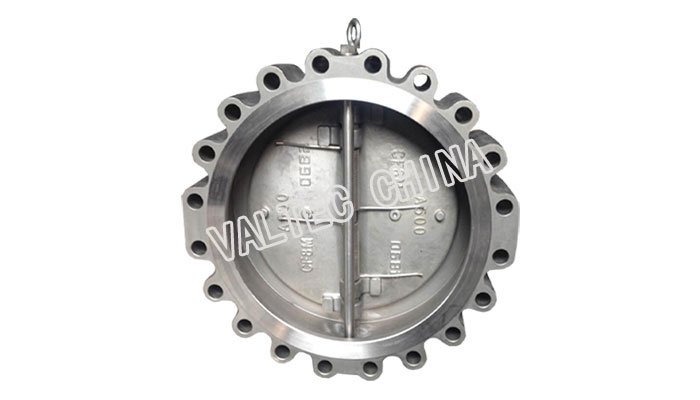 Dual Plate Lug Check Valve